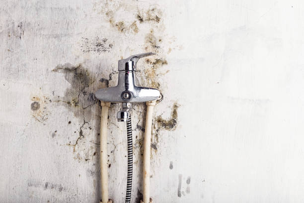 Best Residential Mold Remediation in Porterdale, GA